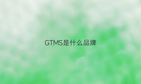 GTMS是什么品牌