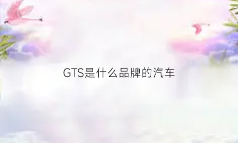 GTS是什么品牌的汽车