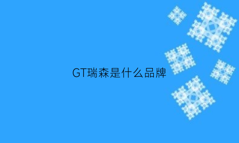 GT瑞森是什么品牌