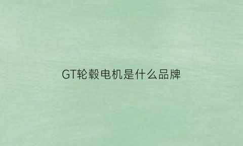 GT轮毂电机是什么品牌