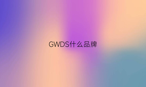 GWDS什么品牌(gs是什么品牌)