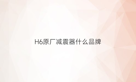 H6原厂减震器什么品牌(h6原厂减震器什么品牌最好)