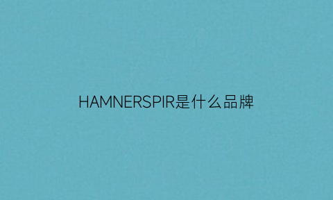 HAMNERSPIR是什么品牌(hampicn是什么牌子)