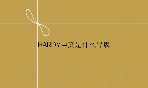 HARDY中文是什么品牌(hardy是什么品牌什么价位)