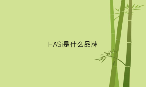 HASi是什么品牌(has牌子)