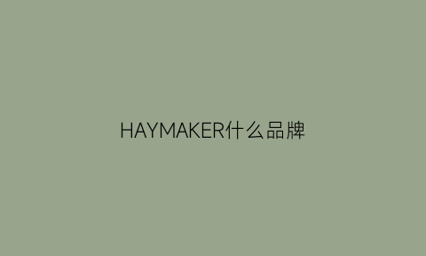 HAYMAKER什么品牌(hamek是什么品牌)