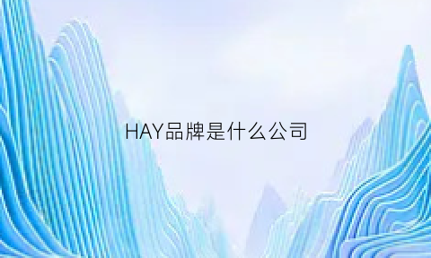 HAY品牌是什么公司(hayyzs是什么品牌)