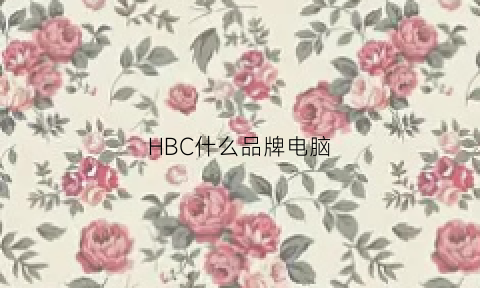 HBC什么品牌电脑(hb电脑是什么牌子)