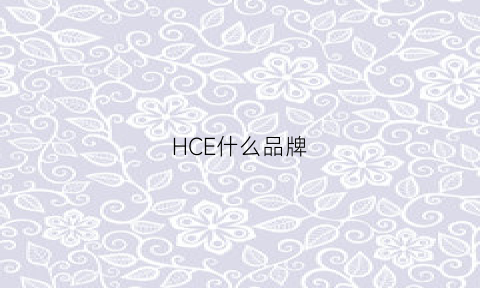 HCE什么品牌(hcservo是什么牌子)