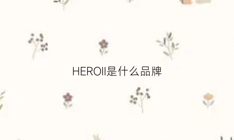 HEROII是什么品牌(heron是什么牌子)