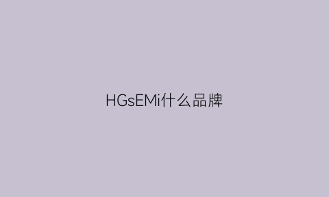 HGsEMi什么品牌(hwdog什么品牌)