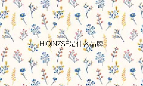 HIQINZSE是什么品牌(hiqinzse是什么品牌喇叭)