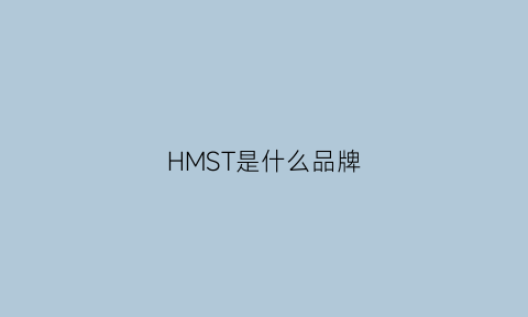 HMST是什么品牌