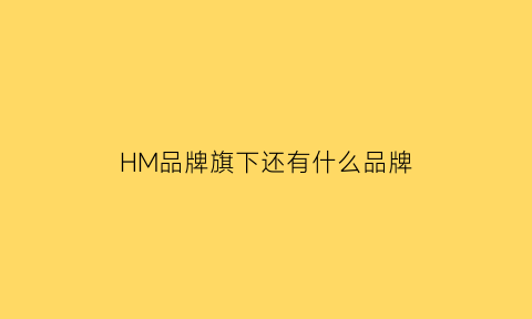 HM品牌旗下还有什么品牌(hm旗下的牌子)