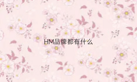 HM品牌都有什么(hm有什么牌子)