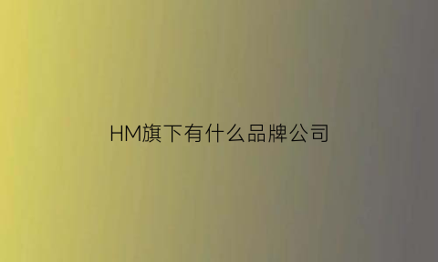 HM旗下有什么品牌公司