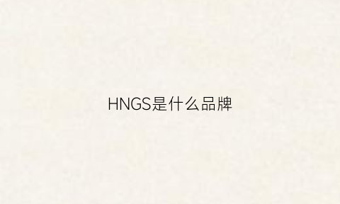 HNGS是什么品牌(hjn是什么牌子)