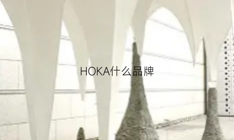 HOKA什么品牌(hoka是什么牌子大概多少钱)