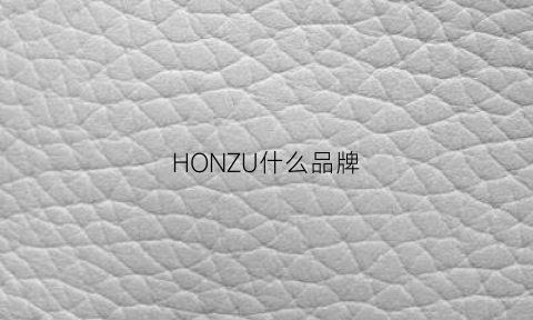 HONZU什么品牌(honcu什么牌子)