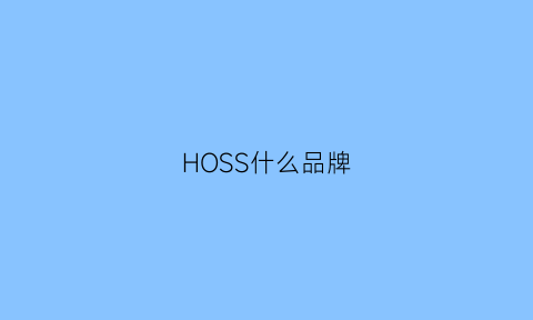 HOSS什么品牌