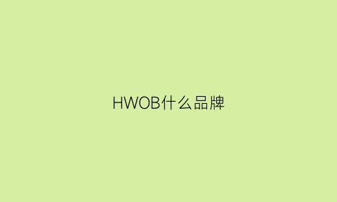 HWOB什么品牌(hw什么牌子)