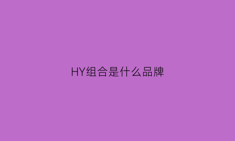 HY组合是什么品牌(hyh是什么牌子)