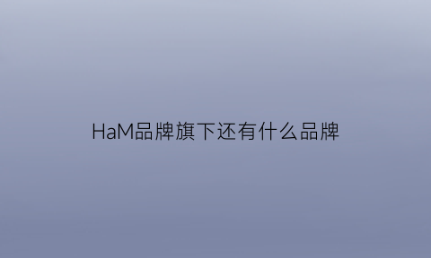 HaM品牌旗下还有什么品牌(hm旗下的牌子)