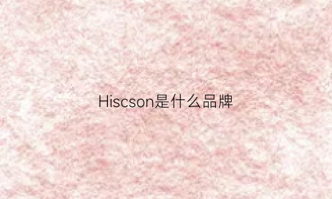 Hiscson是什么品牌(hicesnose是什么品牌)