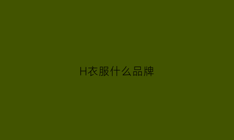 H衣服什么品牌