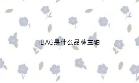 IBAG是什么品牌主轴(ibc轴承是哪个国家的)