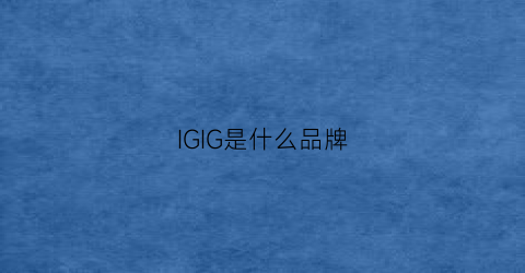 IGIG是什么品牌