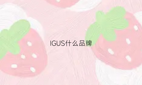 IGUS什么品牌(igl是什么品牌)