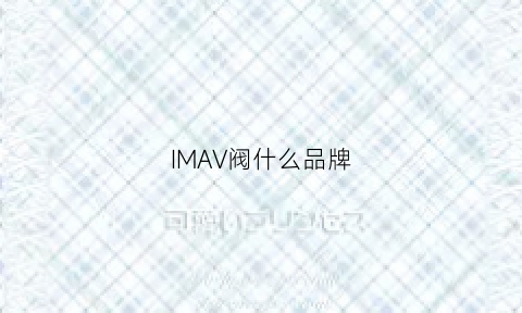 IMAV阀什么品牌(msv阀)