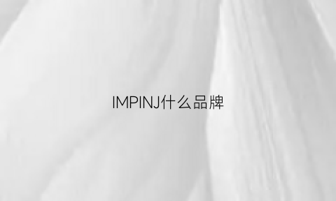 IMPINJ什么品牌(imi是什么牌子)