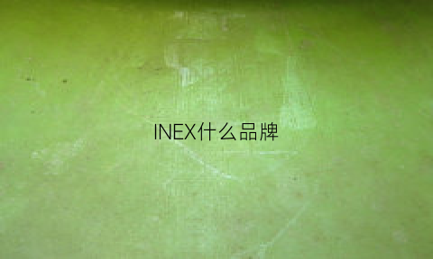 INEX什么品牌(inesa是什么牌子)