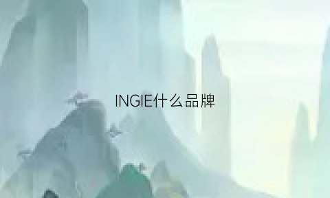 INGIE什么品牌(ingco品牌怎么样)