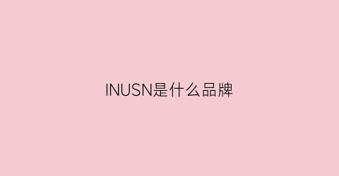 INUSN是什么品牌(insunco是什么品牌)