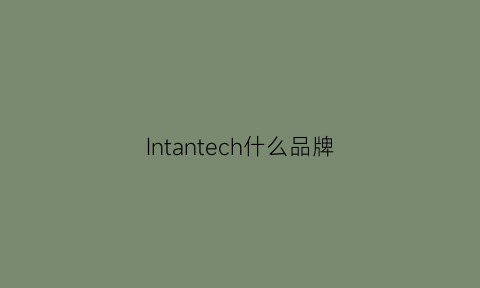 Intantech什么品牌