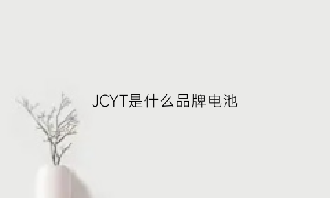 JCYT是什么品牌电池