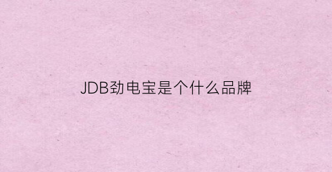 JDB劲电宝是个什么品牌(劲电宝电池)