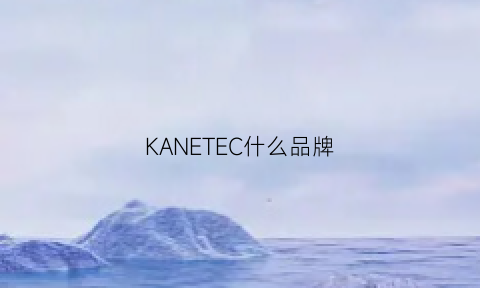 KANETEC什么品牌(kaarteenii什么档次)