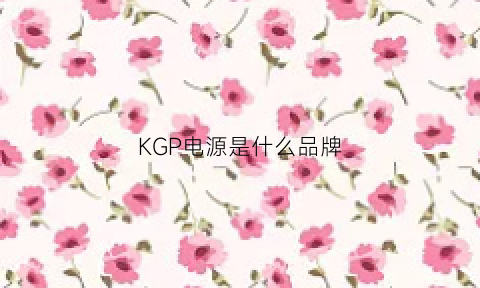 KGP电源是什么品牌(kcores电源)