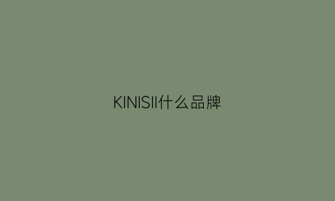 KINISII什么品牌(kinisico)