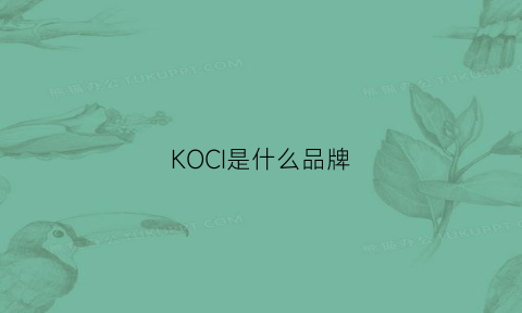 KOCI是什么品牌(koch是什么牌子)