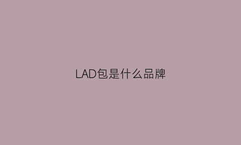 LAD包是什么品牌(lap是什么牌子的包)