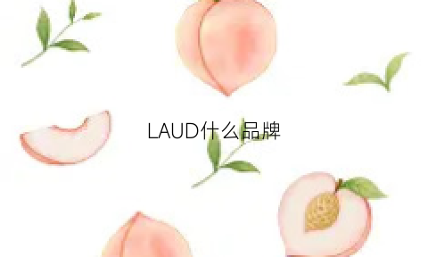 LAUD什么品牌(la品牌叫什么)