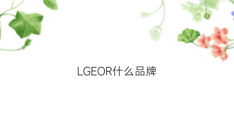 LGEOR什么品牌