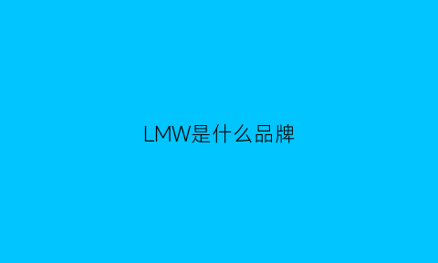 LMW是什么品牌(lmw是什么牌子)