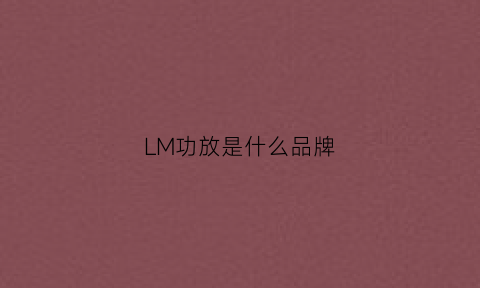 LM功放是什么品牌(lm功放芯片大全)