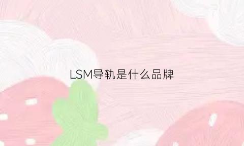 LSM导轨是什么品牌(lsa导轨)